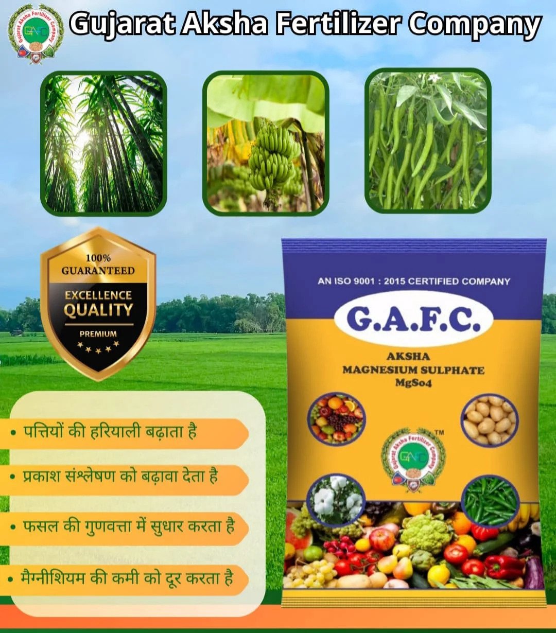 Magnesium Sulphate